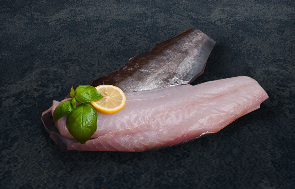 Alaskan Pollock Fillet v2