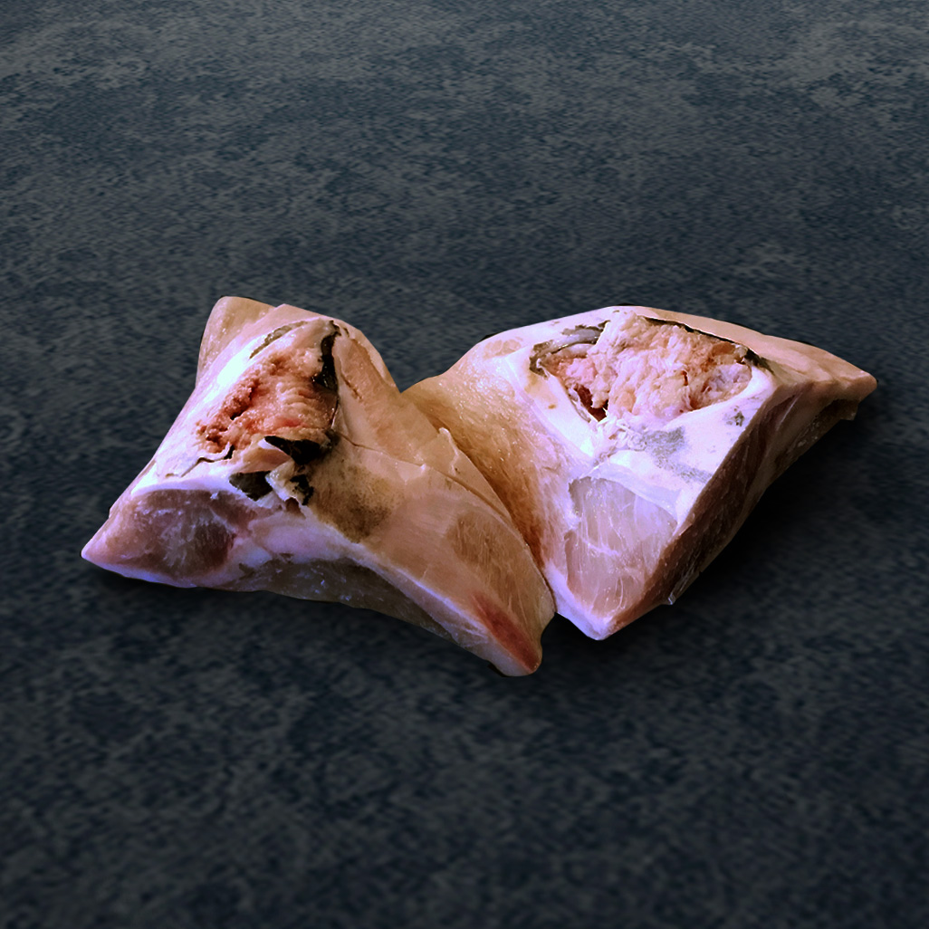 swordfish collar thumbnail v2