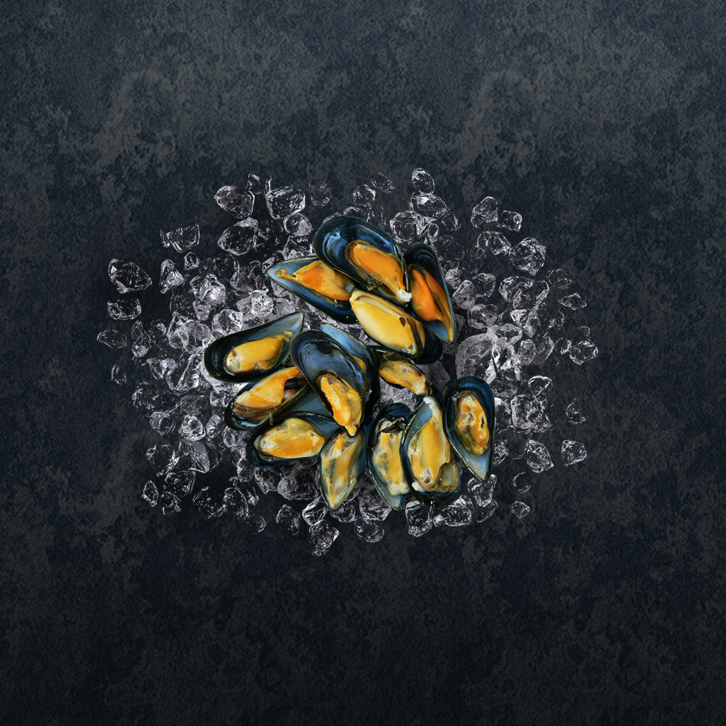 black mussel thumbnail