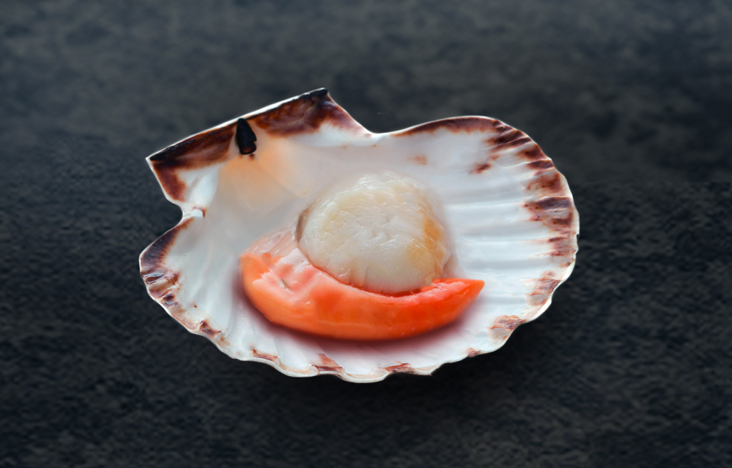 Half Shell Scallop raw