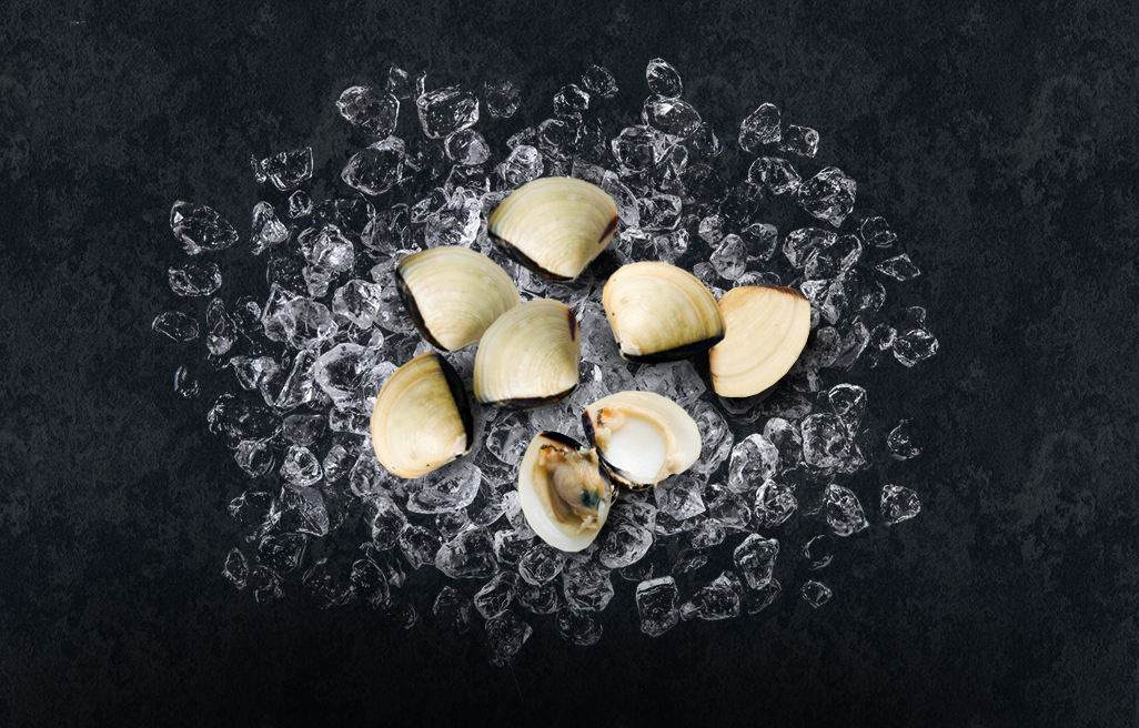 Boiled Clam raw