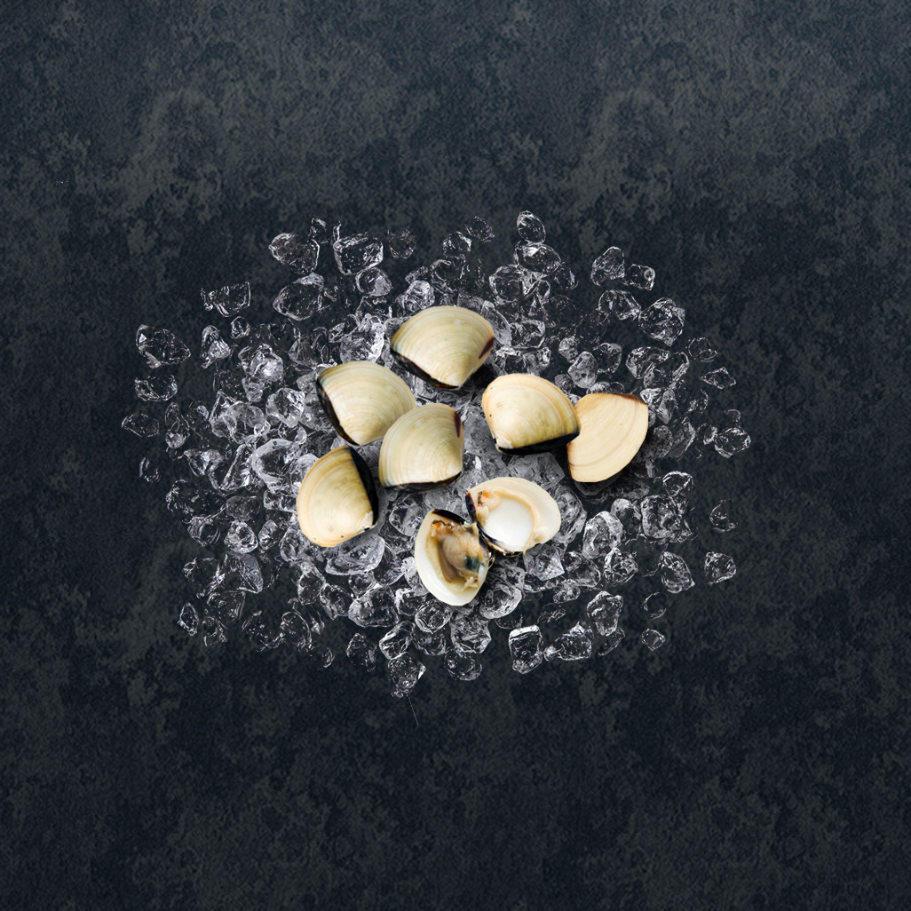 Boiled Clam thumbnail