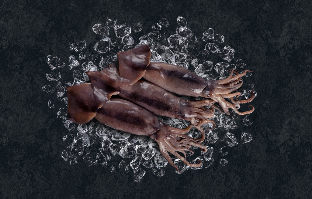 squidring raw