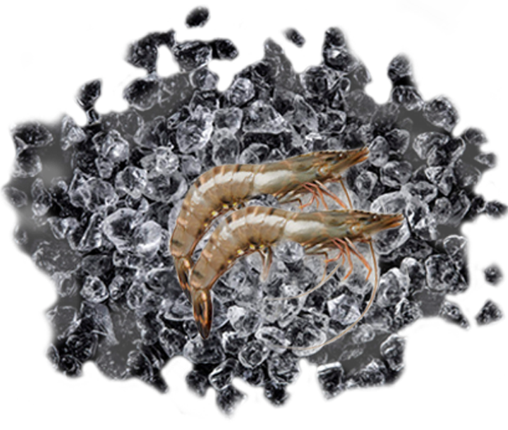 PRAWN CRAB